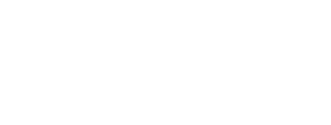 logo vindex 02