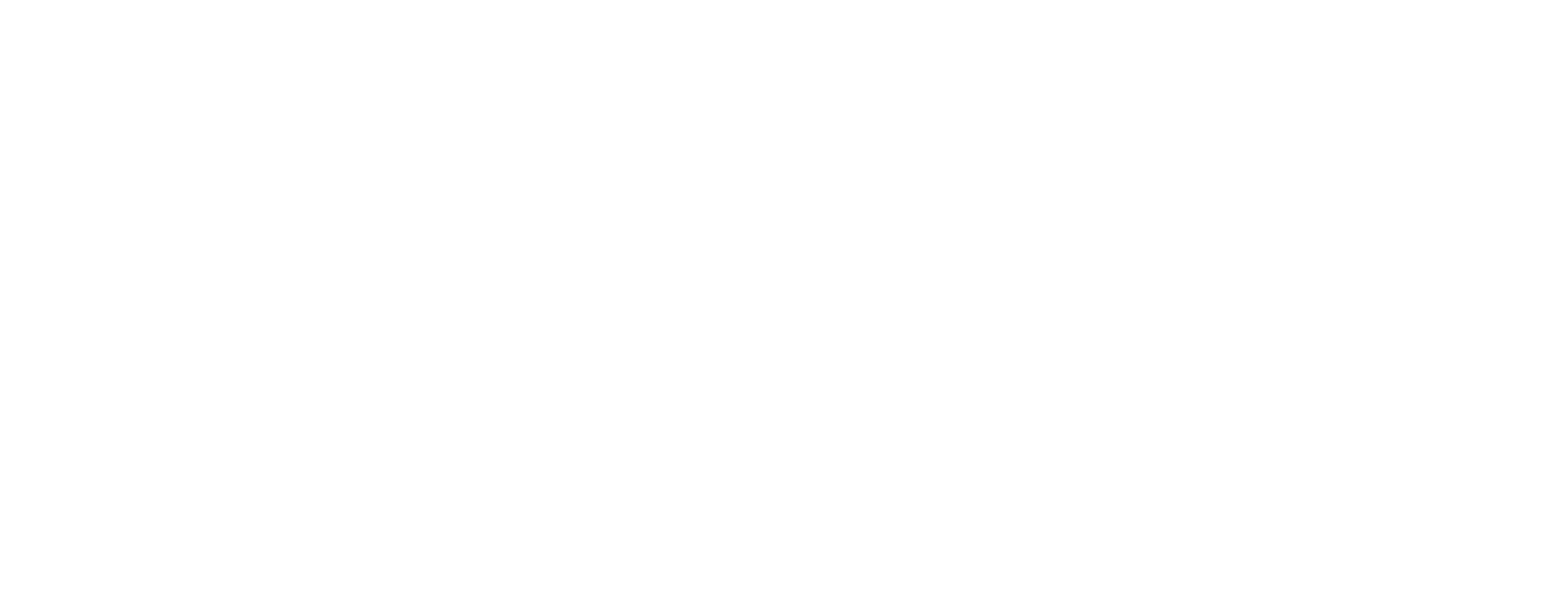 logo vindex 02